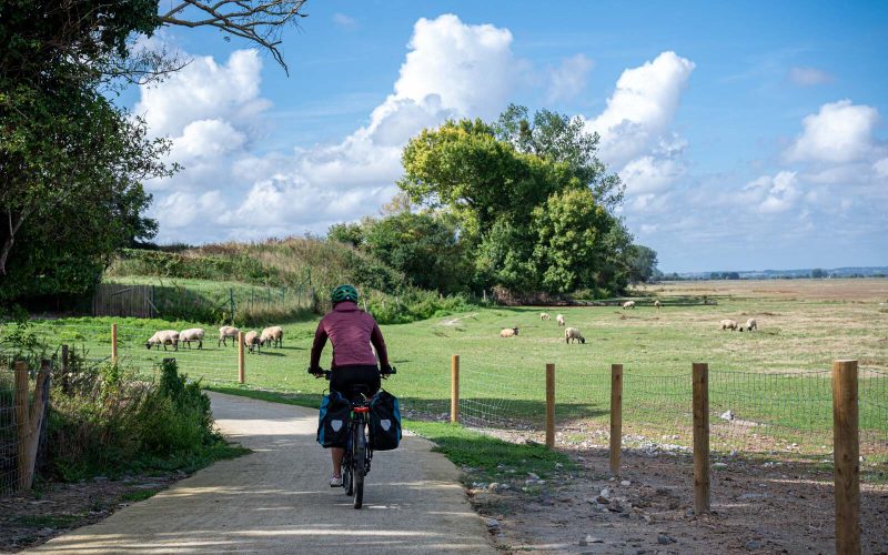 Sur la VéloWestNormandy, en baie du Mont-Saint-Michel
