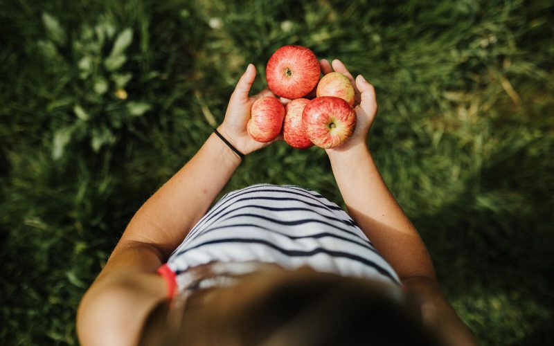 Enfant tenant des pommes tout juste ramassées