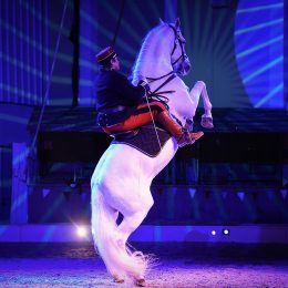 Manège de Tilly