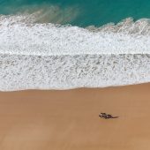 Plages du Cotentin