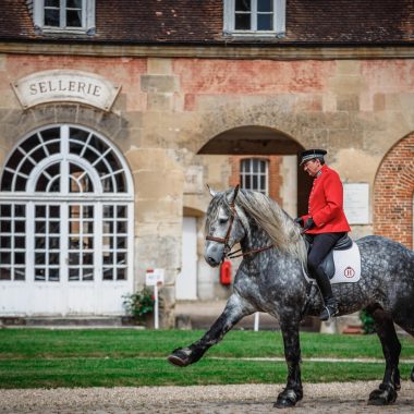 Spectacle au Haras du Pin