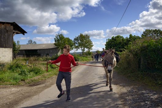 expérience balade à dos d'âne au coeur du Marais Vernier