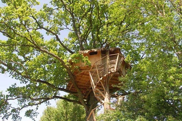 Cabane dans les arbres à la Grande Noë