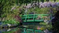 Ponte giapponese nel giardini di Monet © Fondation Claude Monet - Giverny
